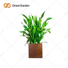 Kina Mest populære store udendørs træer metal plantekrukker Havekrukker Store corten stål blomsterpotte metal